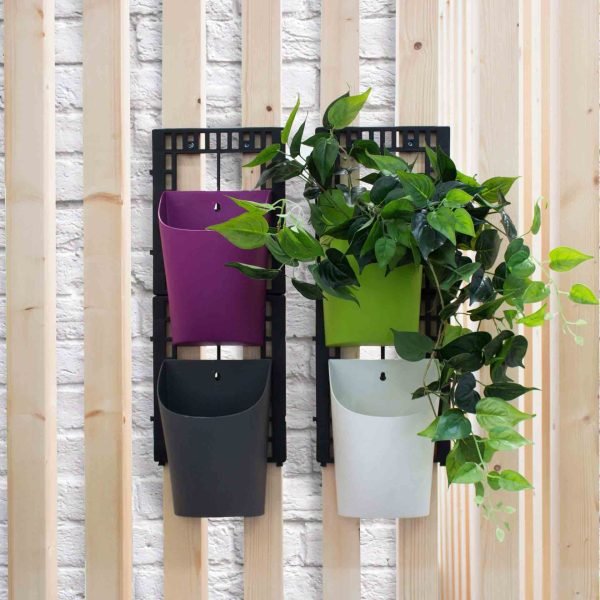 Conjunto 4 Vasos de plástico com fixação à parede - Image 1