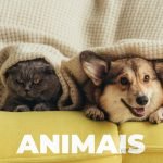 animais