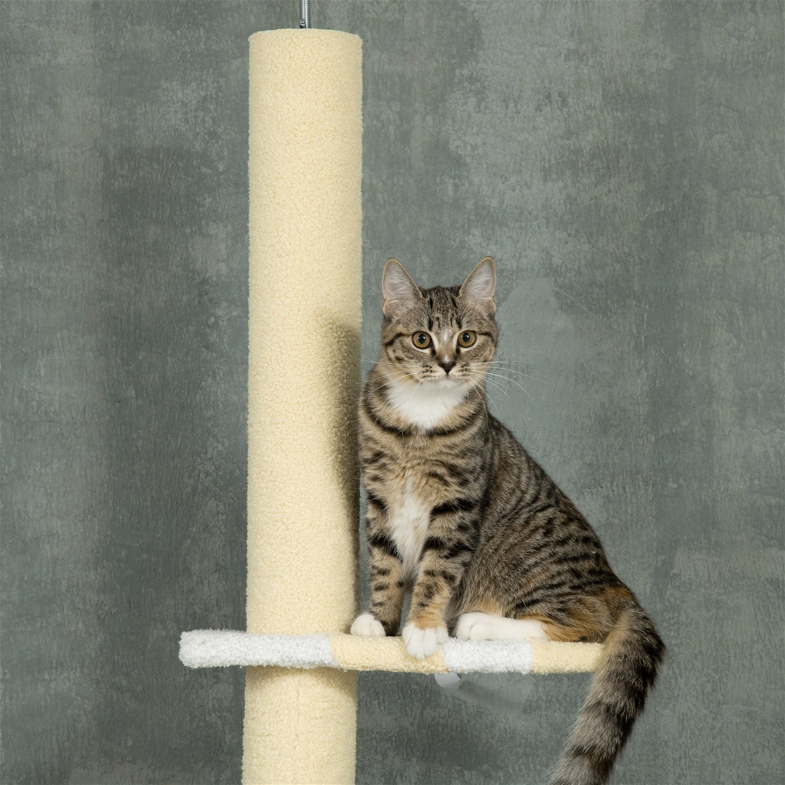 Arranhador para gatos com várias alturas e diversos jogos 260 cm