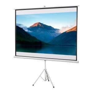 Ecrã de Projeção Manual com Suporte 100 Polegadas Portátil Formato 4:3 para Interior e Exterior Cinema em Casa Pátio 203x152 cm Branco