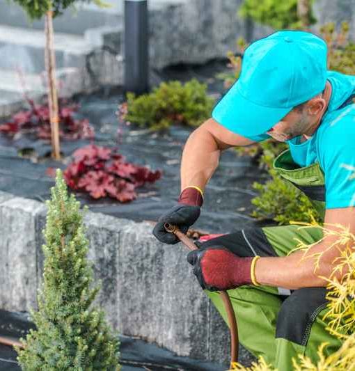 Gestão e redução de consumo de água - O Meu Jardim