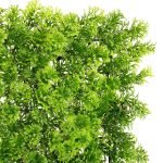 Jardim Vertical Musgo Exterior 50 X 50 Cm - Image 2