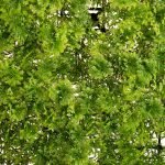 Jardim Vertical Musgo Exterior 50 X 50 Cm - Image 3
