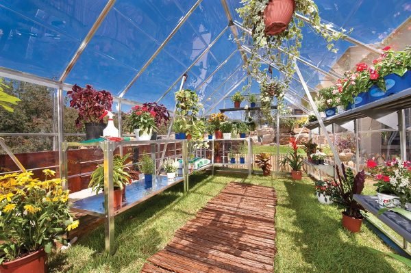 Palram - Canopia Estufa de policarbonato Octave 1