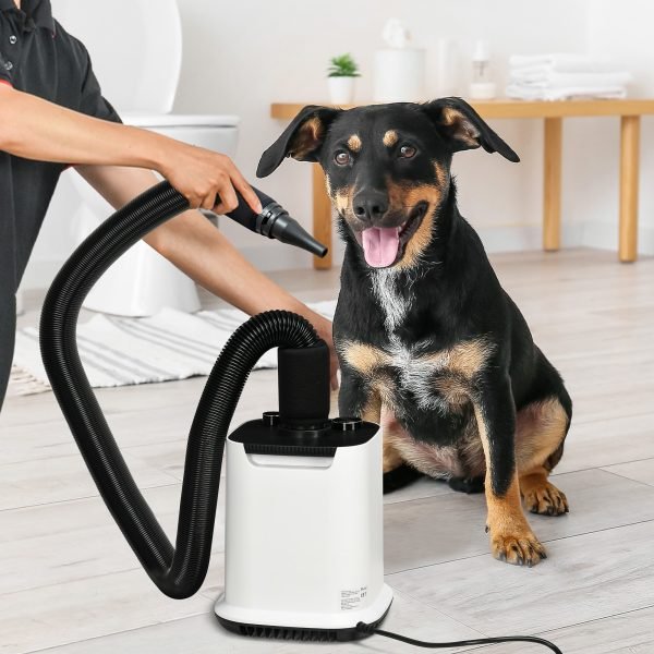 Secador de Pelo para Cães 2000W Secador para Animais de Estimação com Temperatura Ajustável